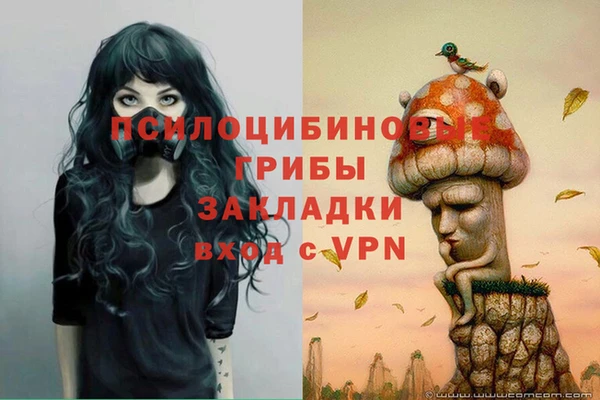 дурь Михайловка
