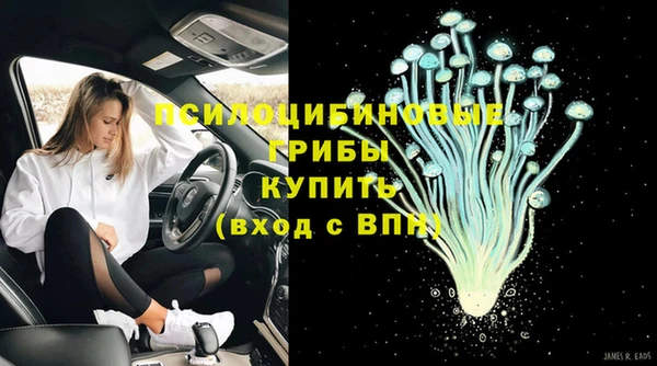 амф Алексин