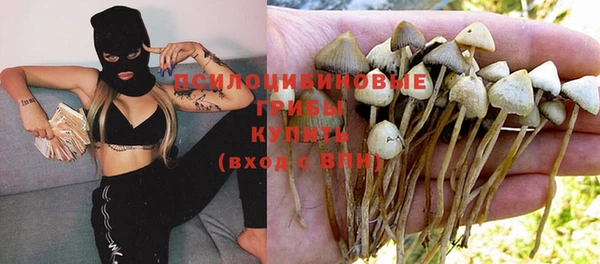марки lsd Михайловск