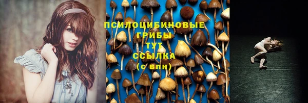 мет Михайлов