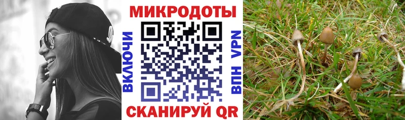 дарнет шоп  маркетплейс как зайти  Псилоцибиновые грибы Cubensis  Алапаевск 